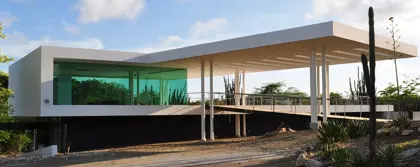 /Mongui_Maduro-Library_.jpg